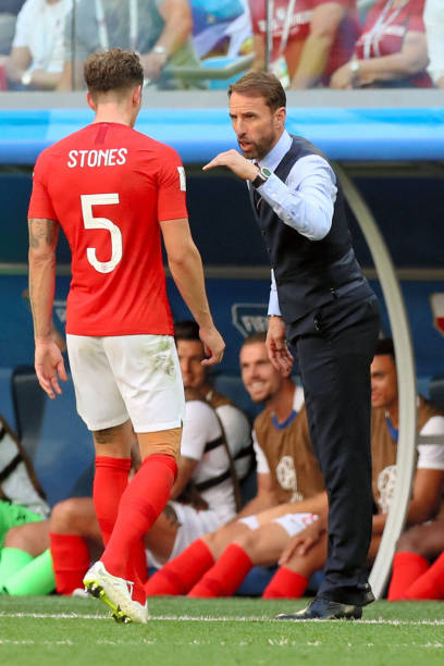 年轻新星的 年轻新星的